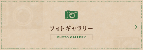 フォトギャラリー