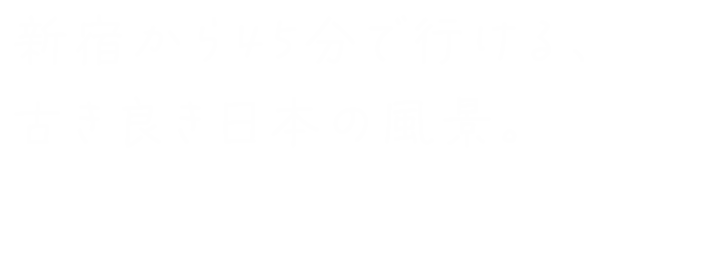 新宿から45分で行ける、古き良き日本の風景。