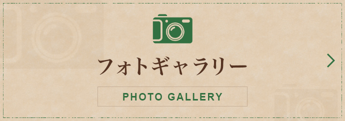 フォトギャラリー